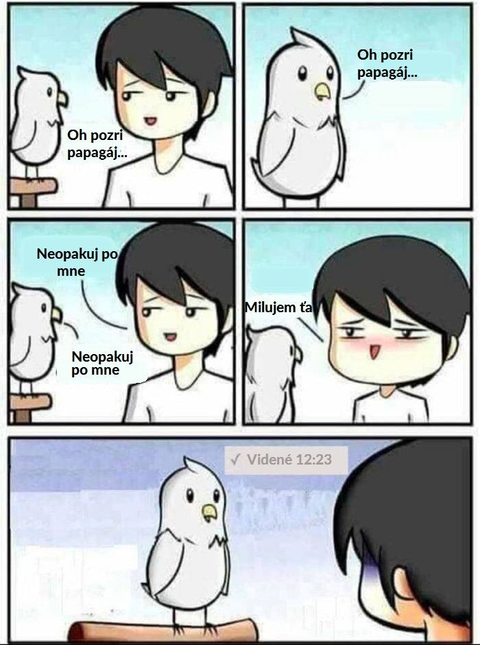 kox (3)