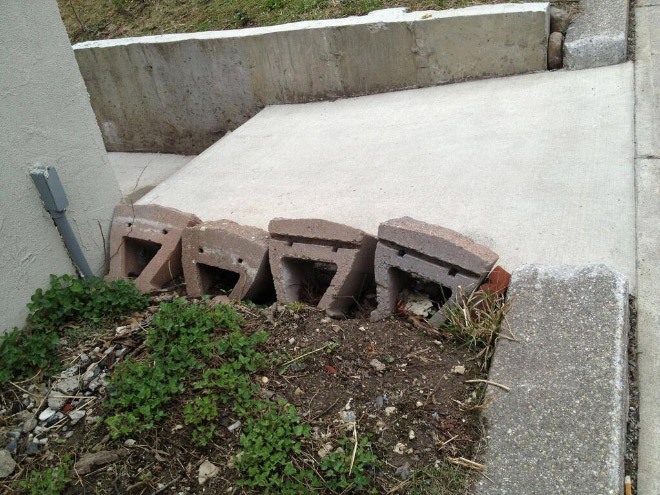 pareidolia10