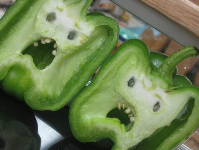 pareidolia15