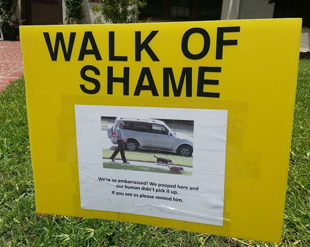 passive-aggressive-neighbours-209-5aafa7d9aa022__605