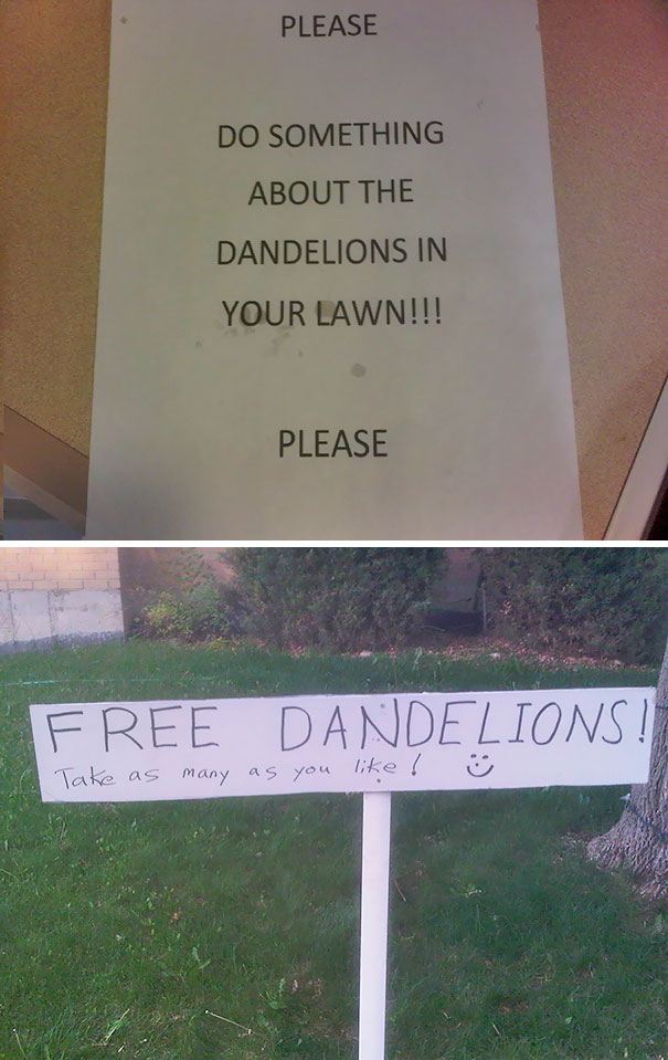 passive-aggressive-neighbours-23-5a9e702c77880__605