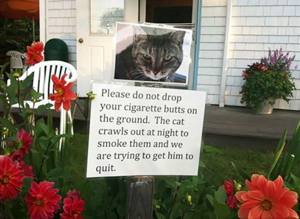 passive-aggressive-neighbours-74-5aa24b1a9f92f__605