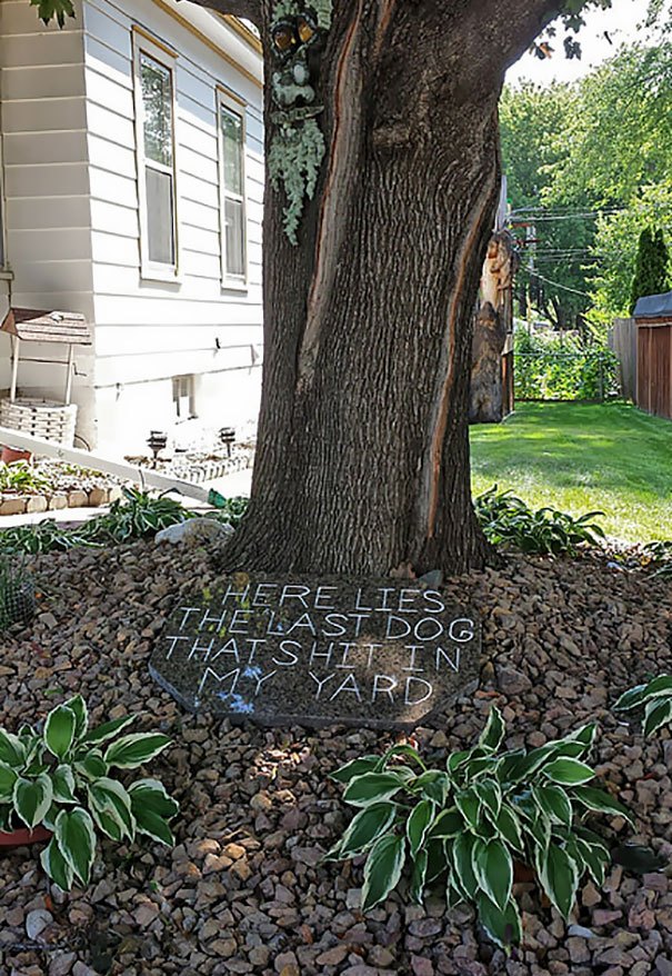passive-aggressive-neighbours-83-5aa2559cdb784__605