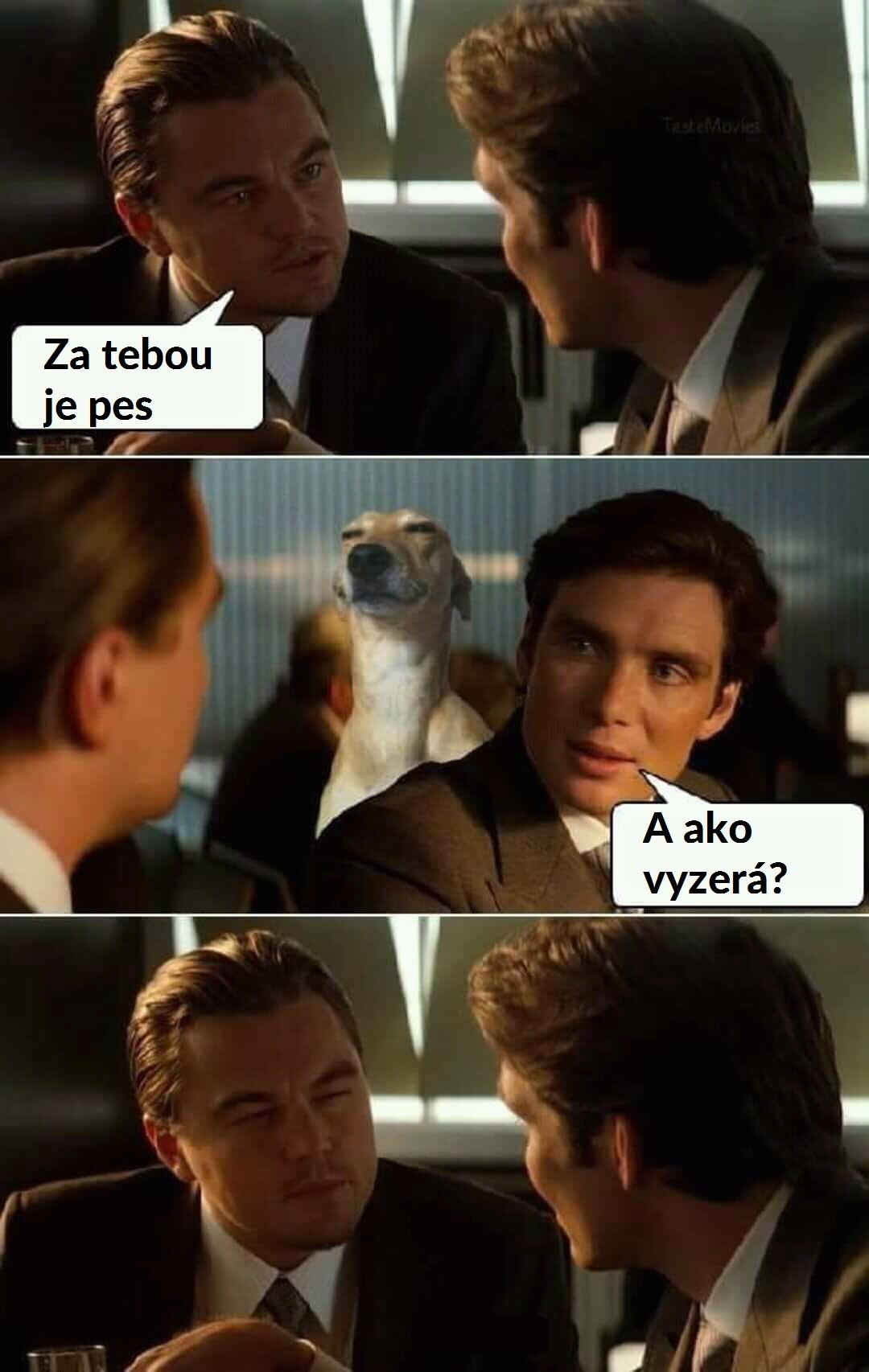 pul (5)