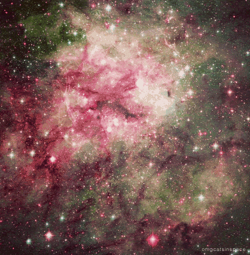 space12
