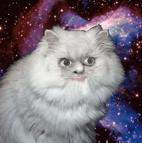 space15