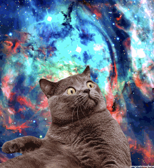 space2