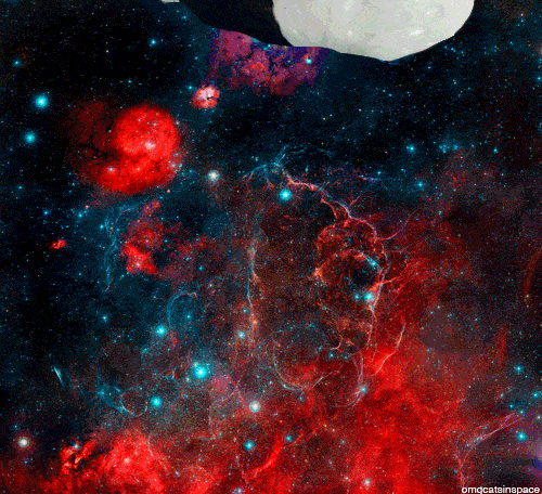 space3
