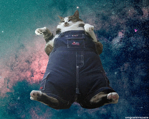 space4