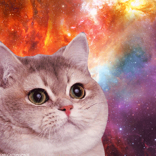 space5