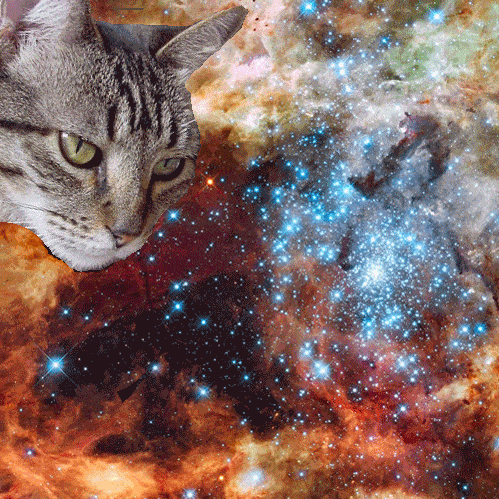 space7