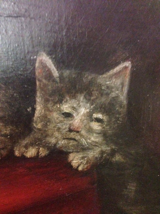 ugly-cat1