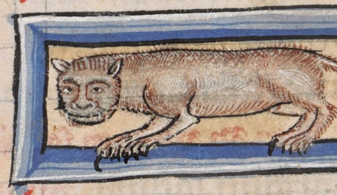 ugly-cat12