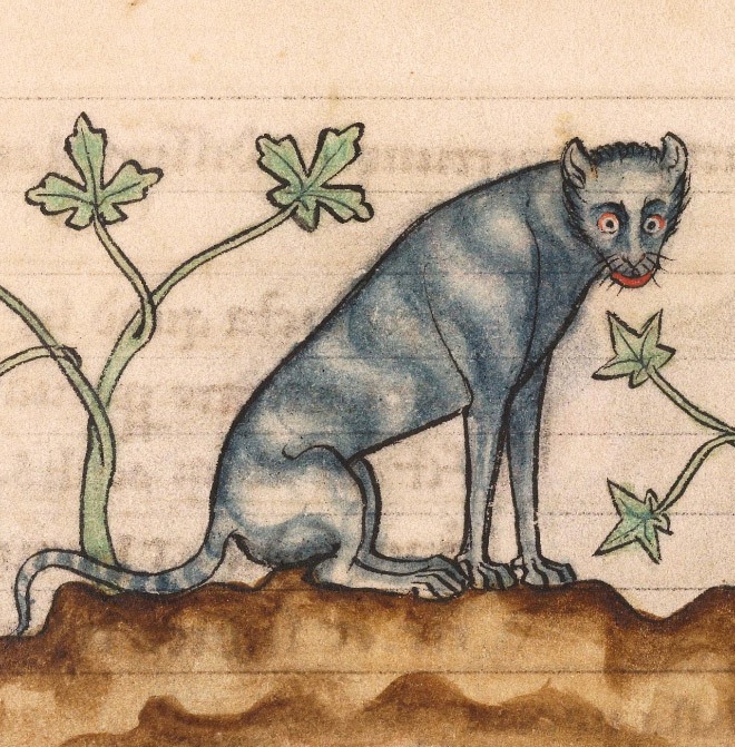 ugly-cat15
