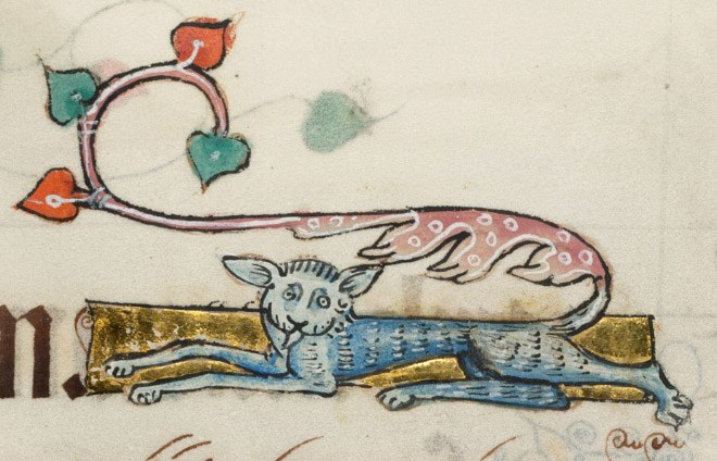 ugly-cat16