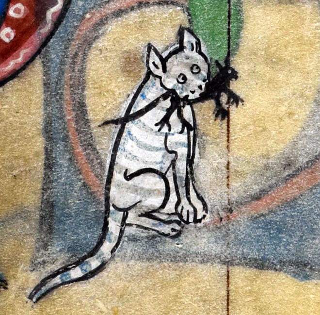 ugly-cat18