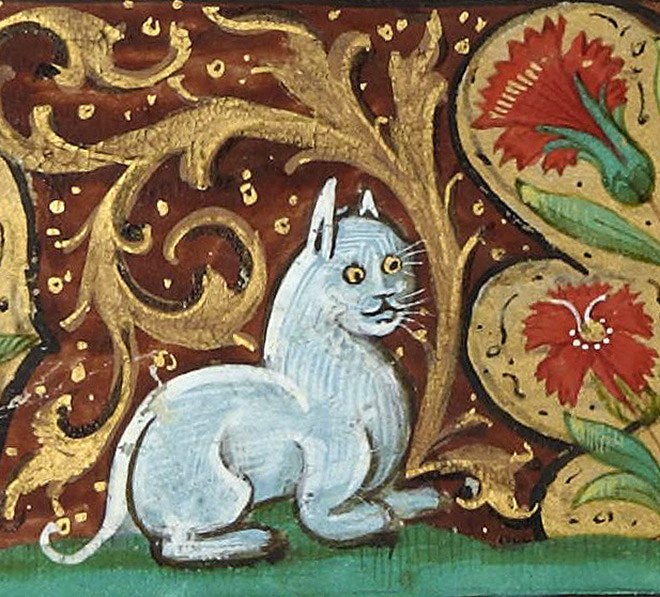ugly-cat19
