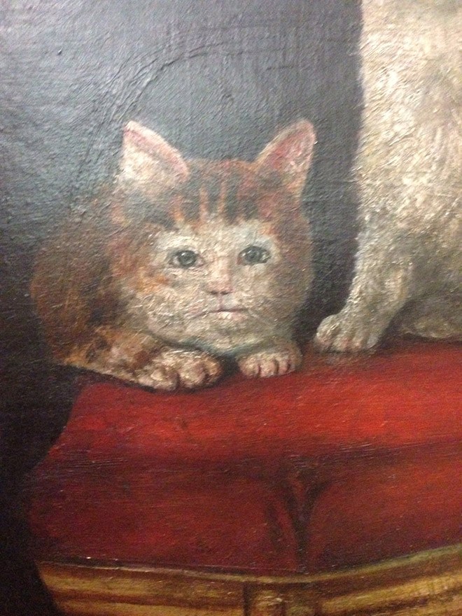 ugly-cat2