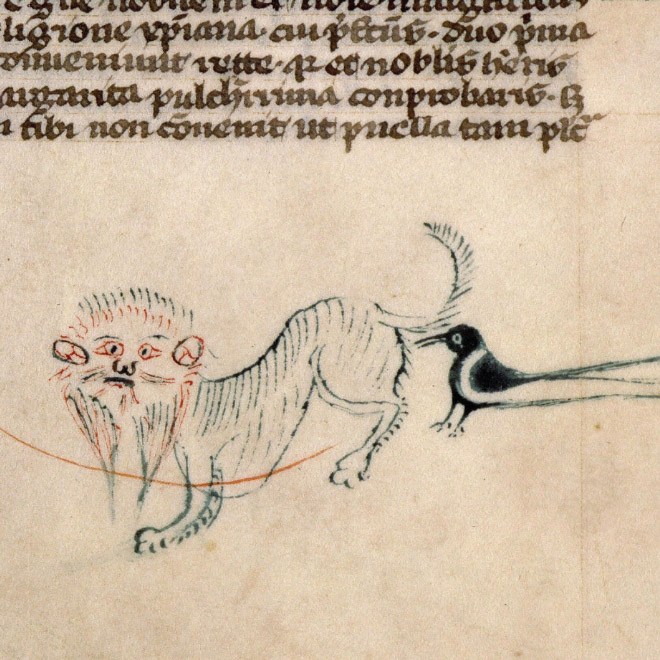 ugly-cat20