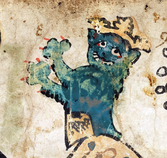 ugly-cat6