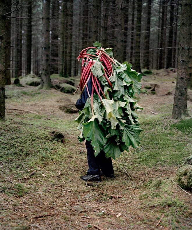 vegetation8