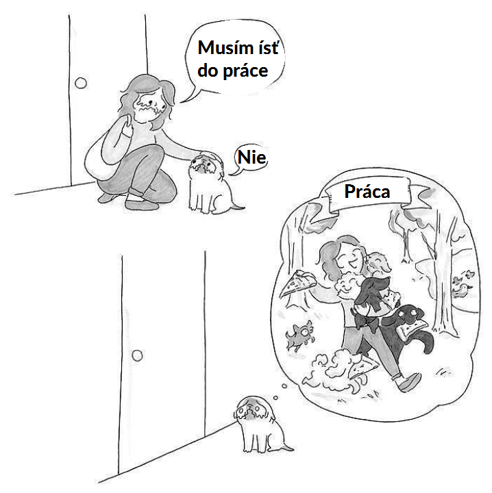 wiza (1)