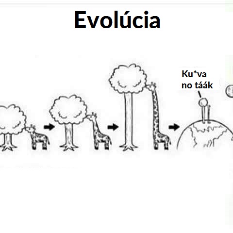 wiza (2)