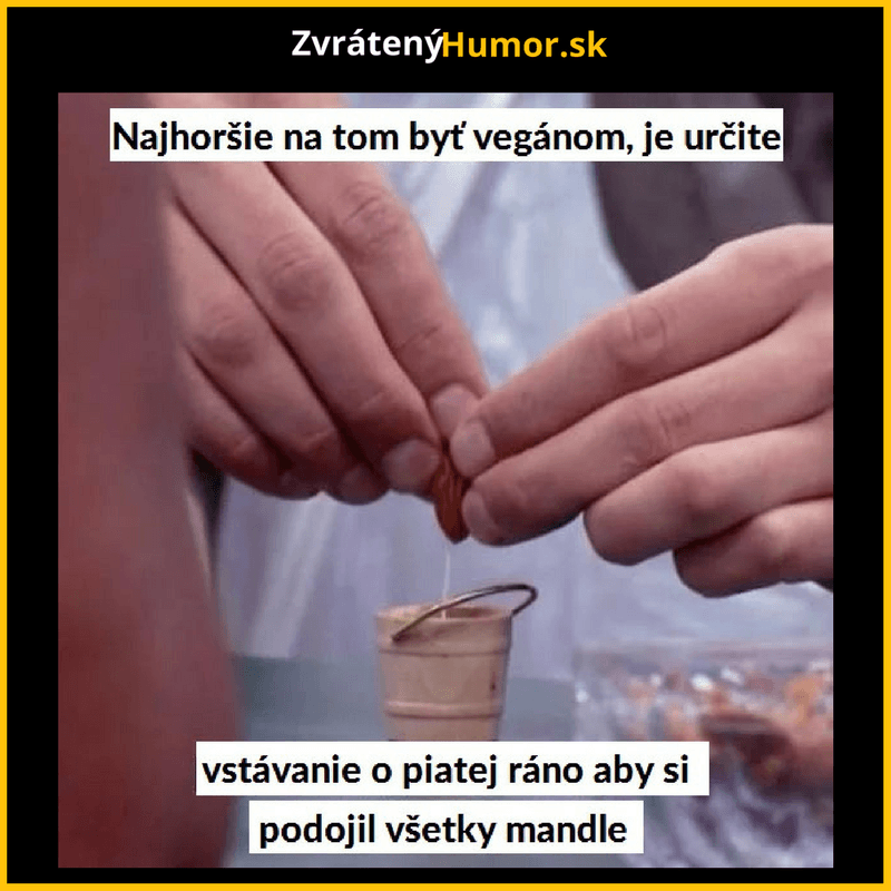 yxc (6)
