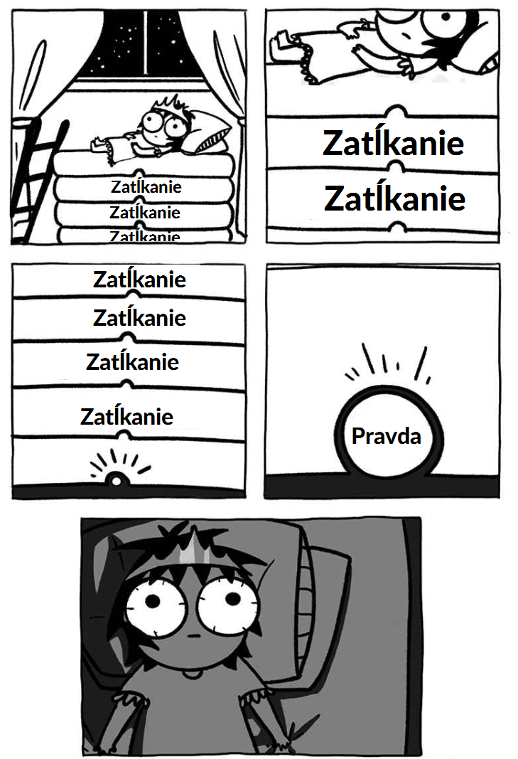 zzr (1)