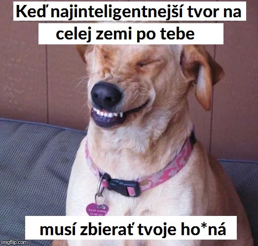 zzz (4)