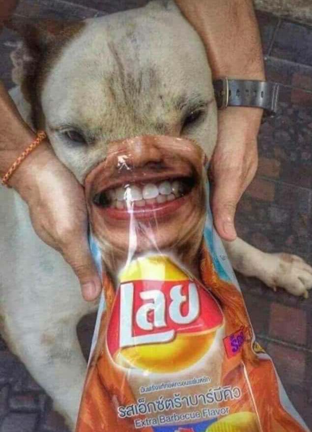 85608694