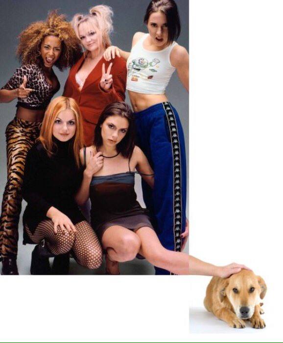 85608696
