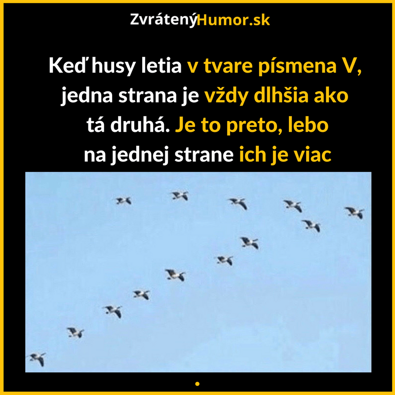 Copy of Nabor opravene (7)