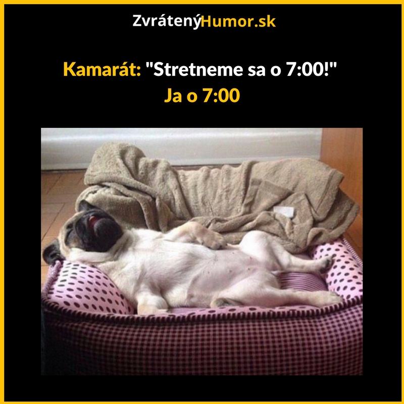 Chronický spáč