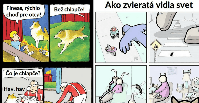 Niekoľko komiksov, ktoré ťa nakopnú do nového dňa #56