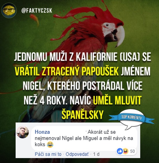 koment3131