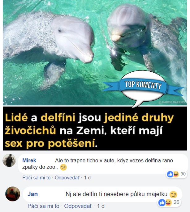 koment5
