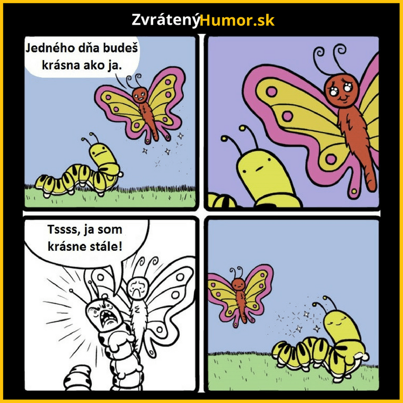 rr (1)