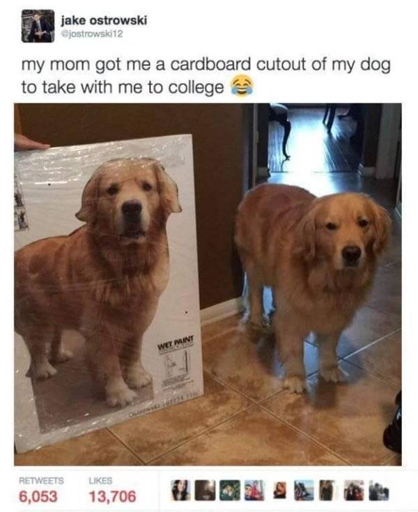 85646975
