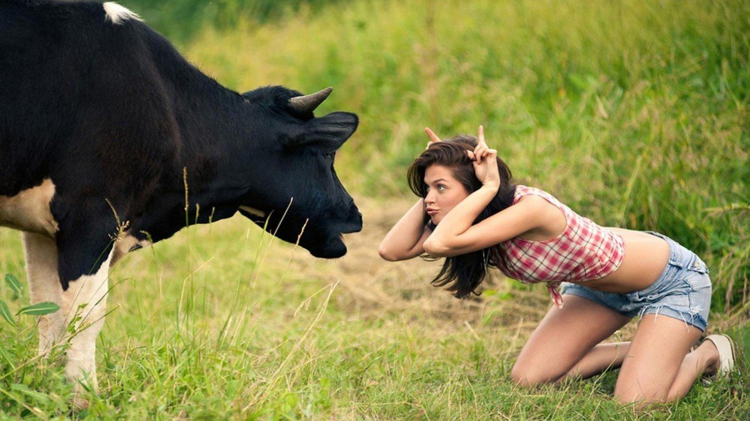 Funny-Hot-Girl-Cow-Images-HD-Wallpaper-1080x607