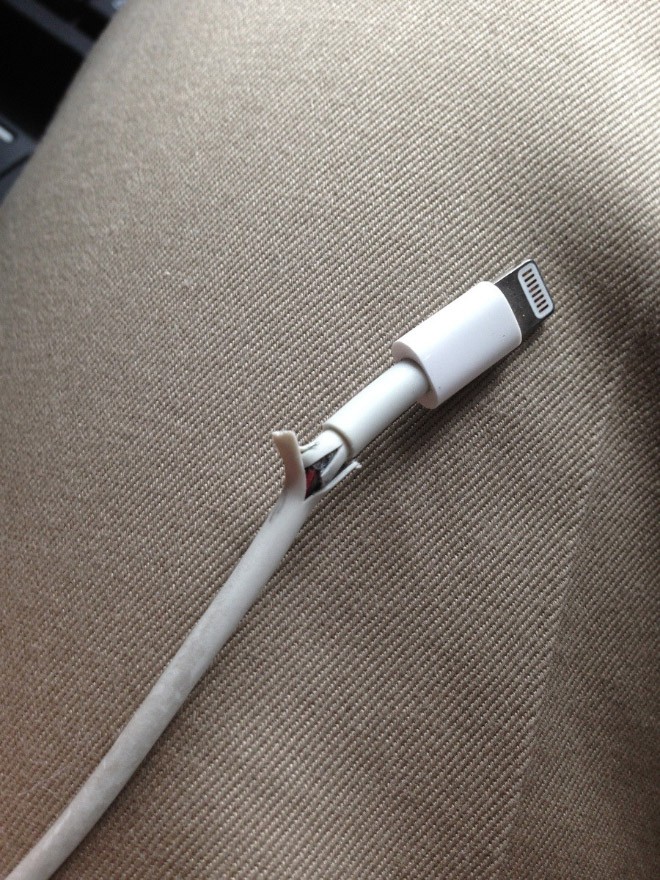 annoying-photo13