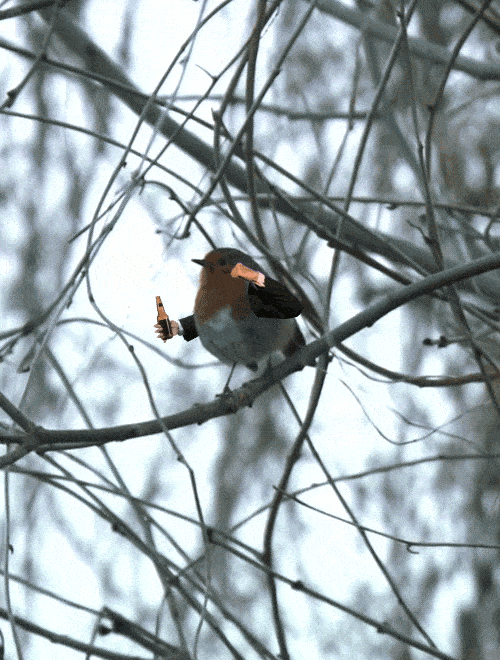 bird-with-arms1