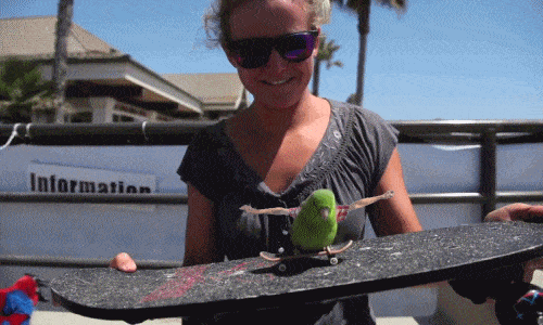bird-with-arms17