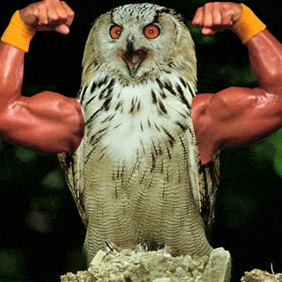 bird-with-arms18