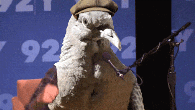 bird-with-arms19