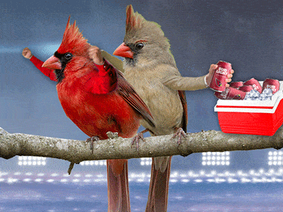 bird-with-arms20