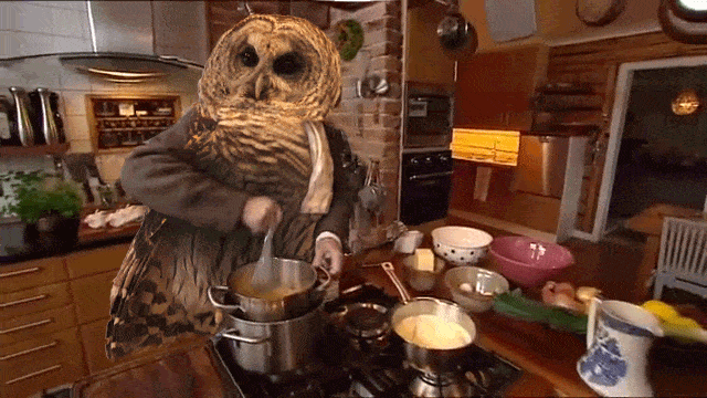 bird-with-arms4