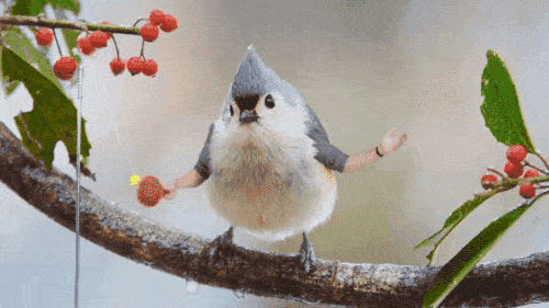 bird-with-arms5