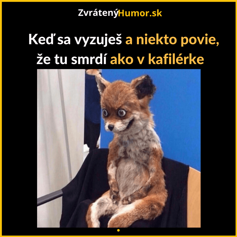 dhhhhhhtz