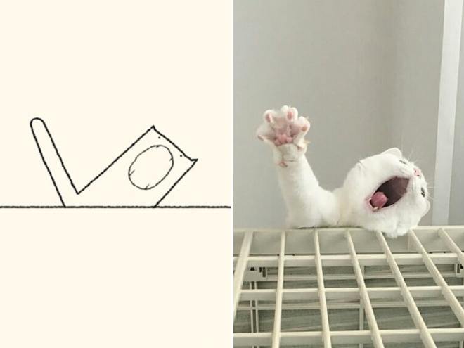 funny-cat-drawing1